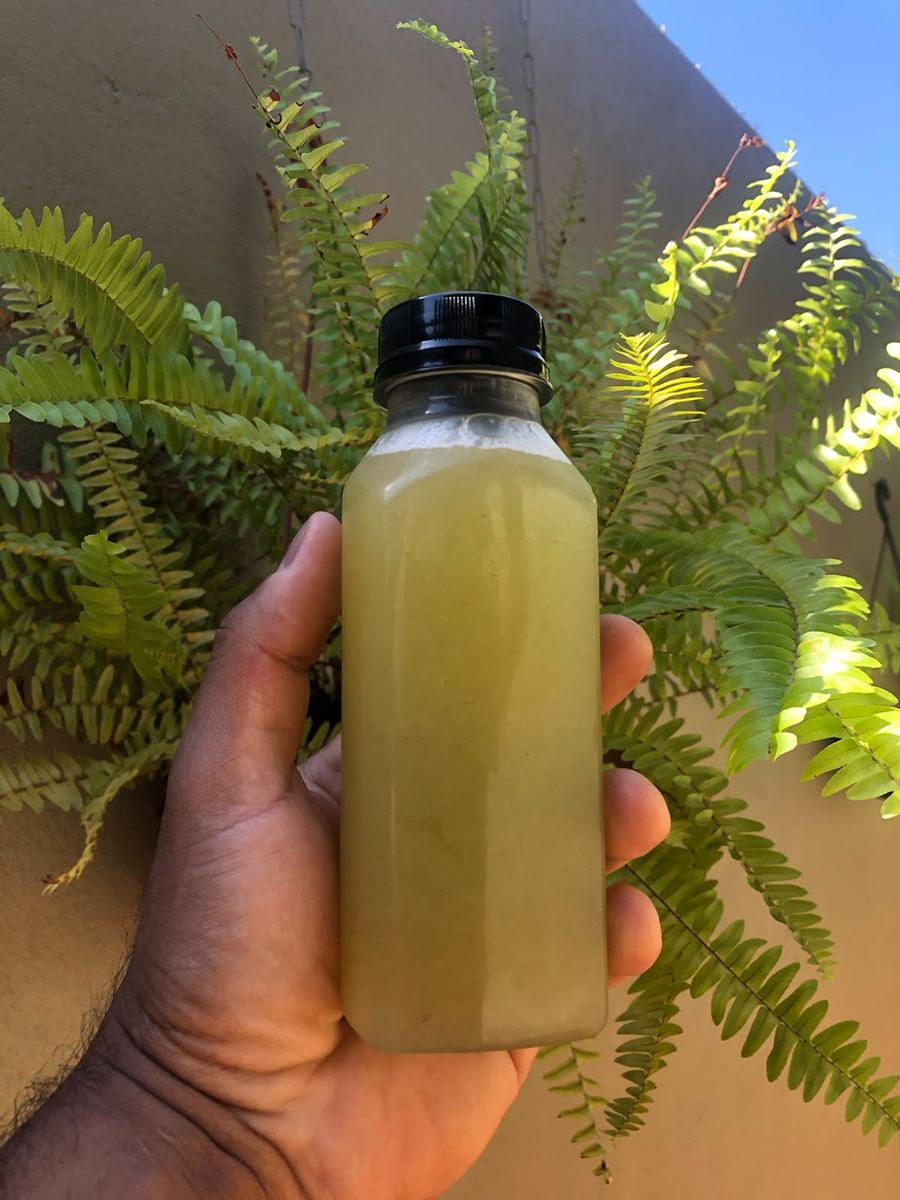 Garrafa de suco natural segurada em frente a uma samambaia